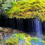 Waldkaeuzle27 Lenzkirch
