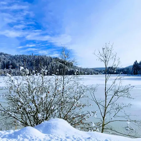 Waldkaeuzle27 Apartamento