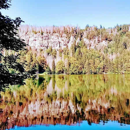 Waldkaeuzle27 Apartman Lenzkirch