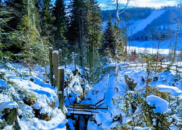 Waldkaeuzle27 Lenzkirch